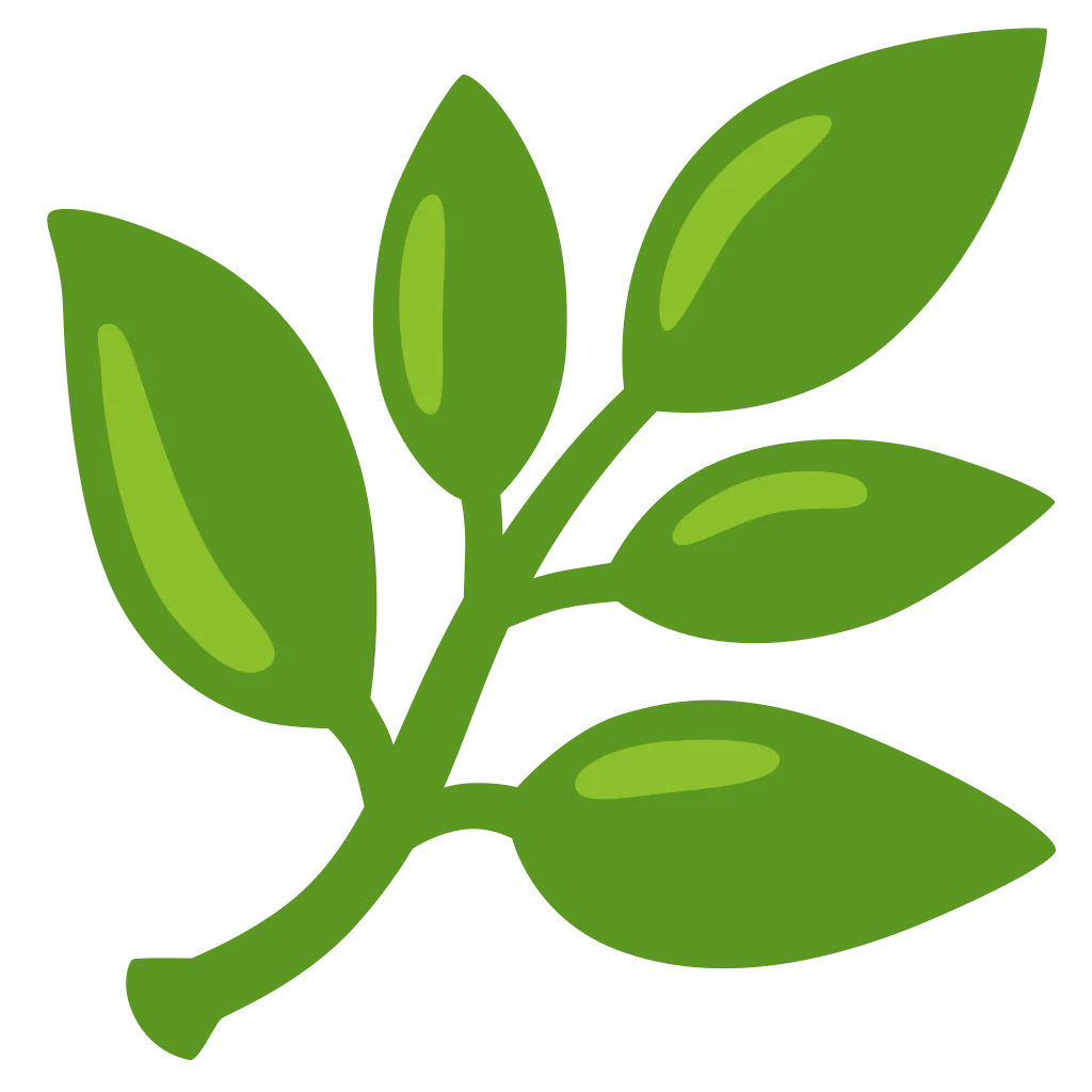 Nawa Plant - live plant exporter from indonesia
