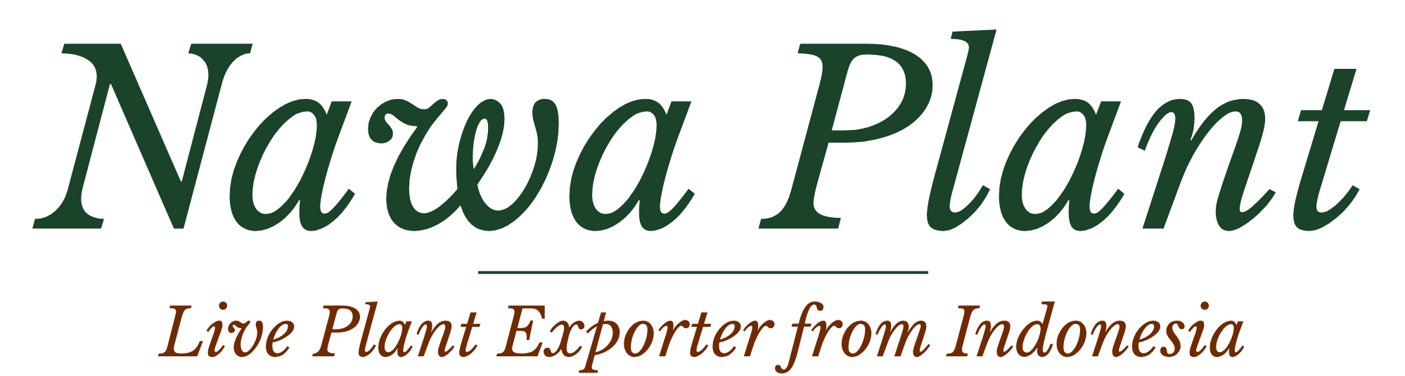 Nawa Plant 